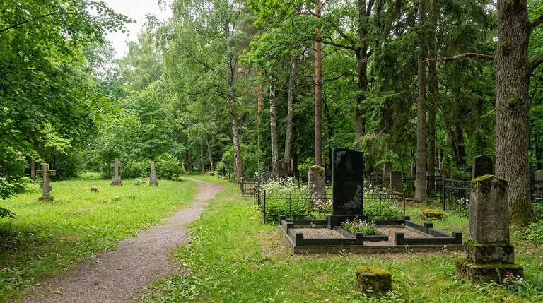 Аллея на Старо-Восточном кладбище в Омске
